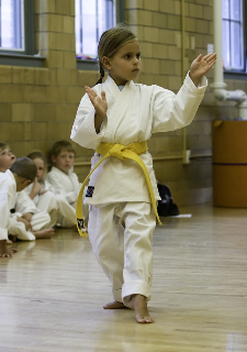Beginner Karate