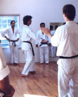 Sanchin karate