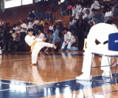 Sanchin karate